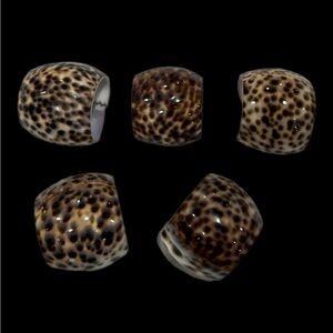 Real Shell Napkin Rings ~ Set Of 5 ~ Vintage